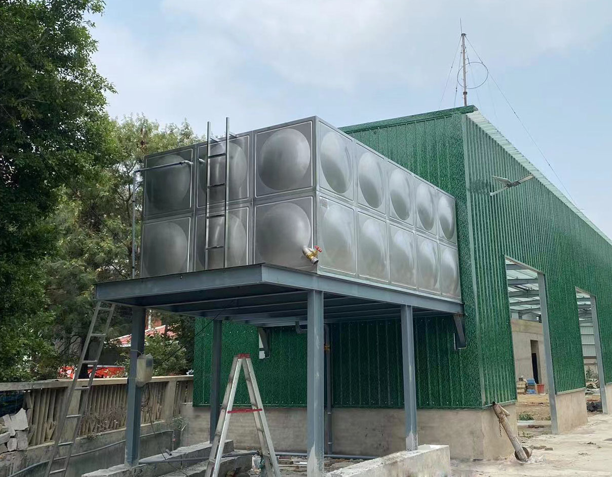 1651197221362714.jpg 高崎3.jpg